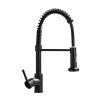 Single Handle Pull Down Sprayer Kitchen Sink Faucet